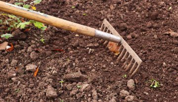 jak zadbać o glebe w ogrodzie