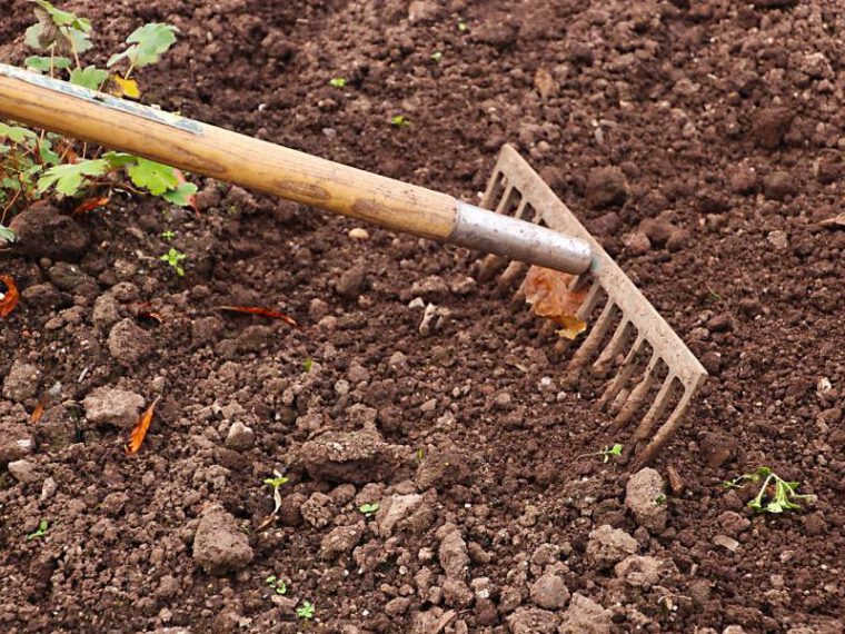 jak zadbać o glebe w ogrodzie