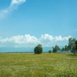 Kierownik budowy czy oświadczenie? Kiedy jest wymagany przy budowie domu w 2025 roku