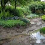 Studnia chłonna – istotne informacje i praktyczne porady