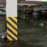 Hałas w mieszkaniu od sąsiadów a wady budowlane